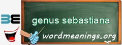 WordMeaning blackboard for genus sebastiana